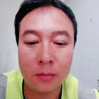 幸福的豬