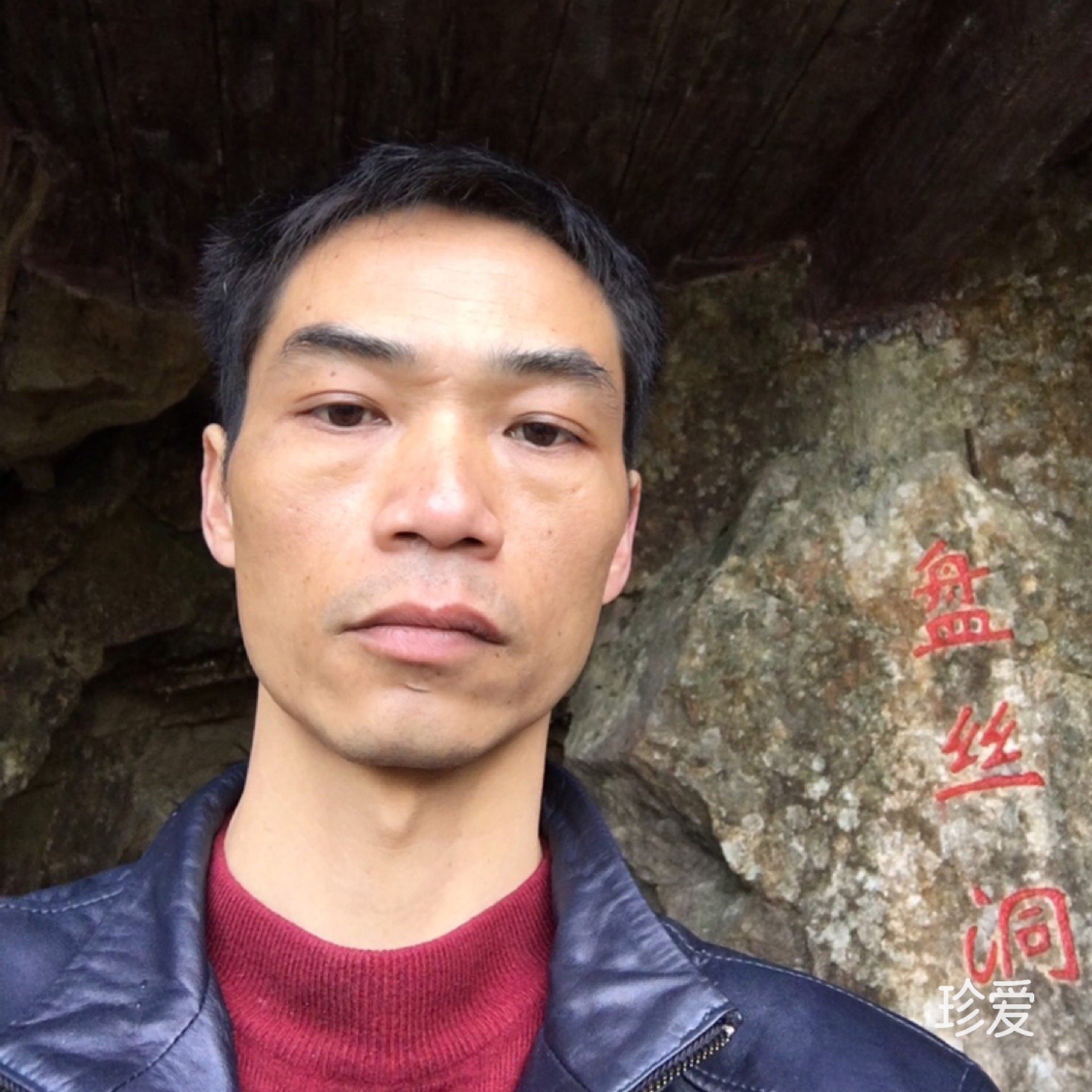 红尘有我