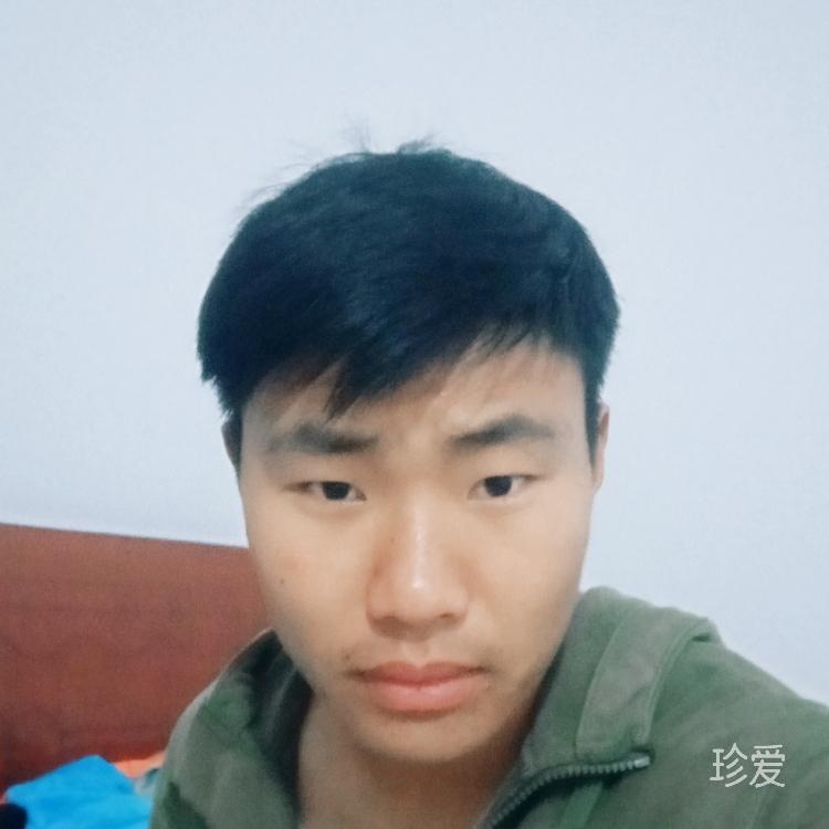 清燕子