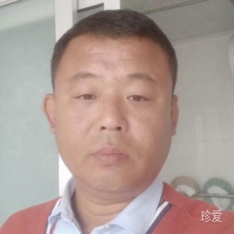 夜伴孤燈寒照雨