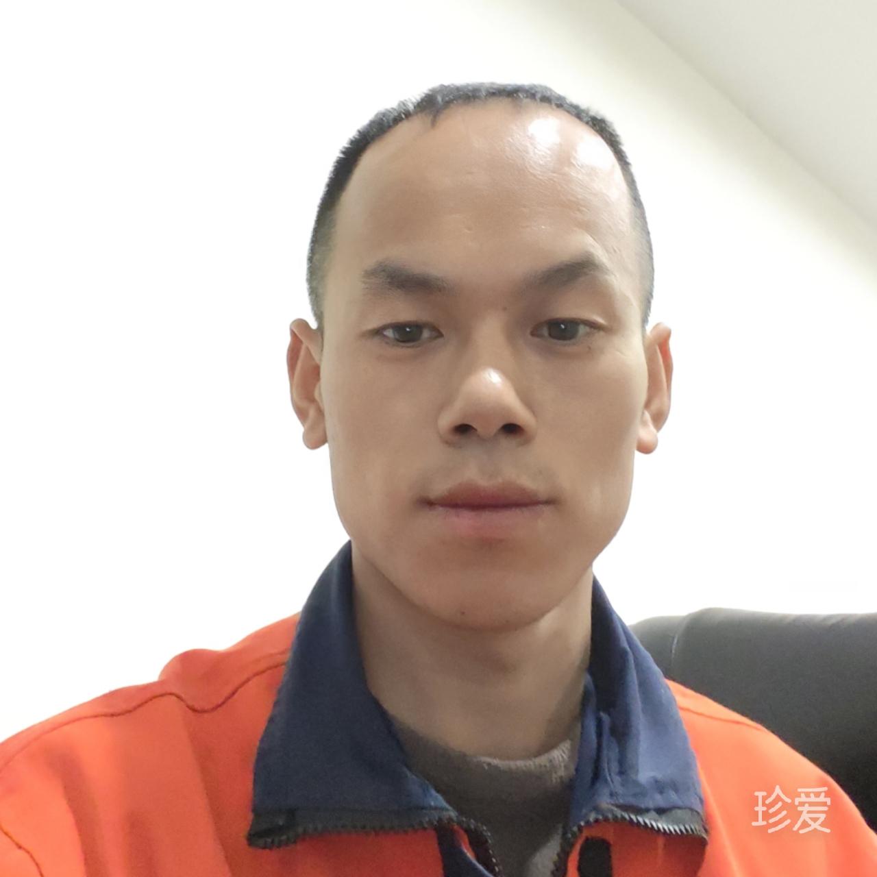 天地梅花