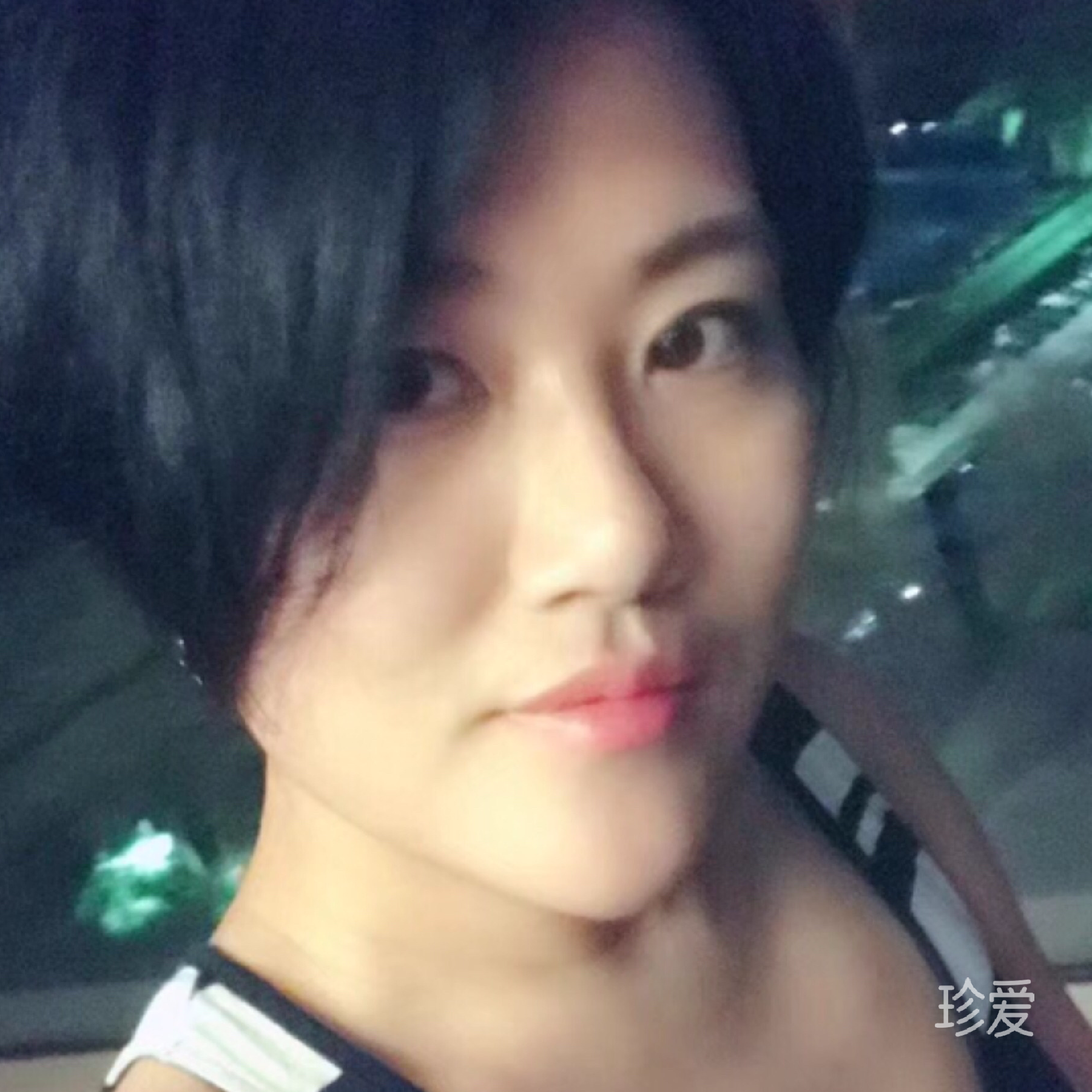 葩葩熊
