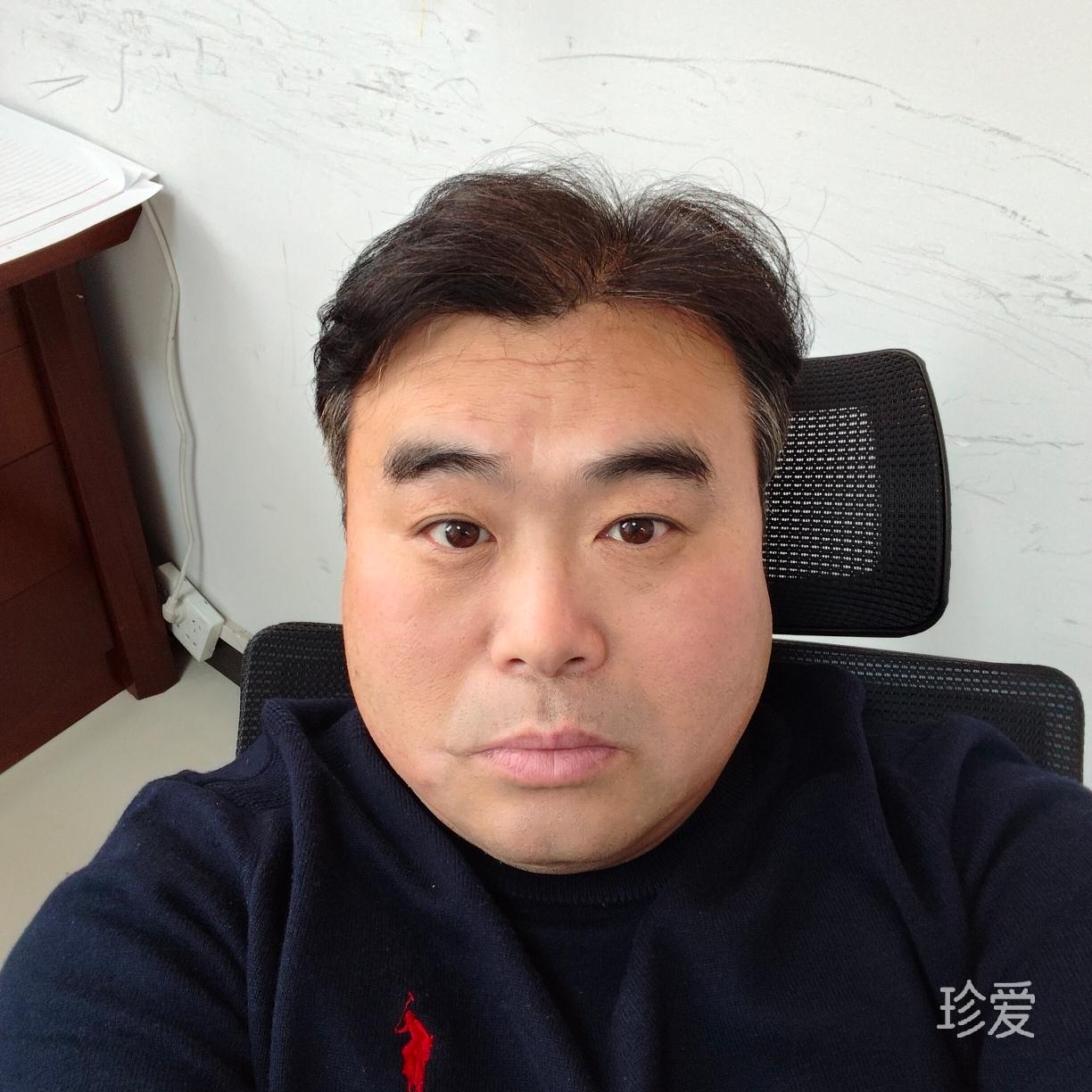 白头鹰