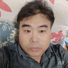 白頭鷹