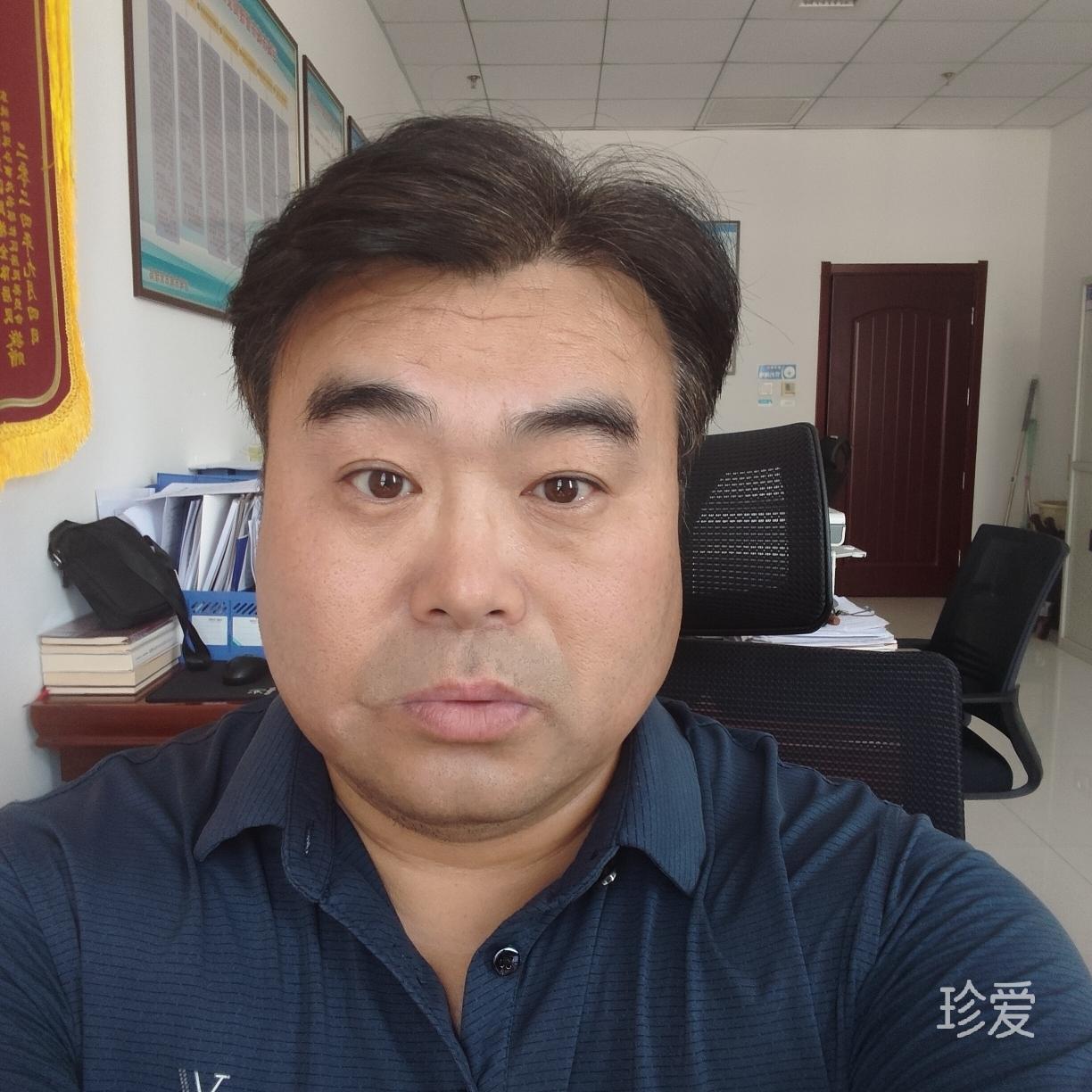 白头鹰