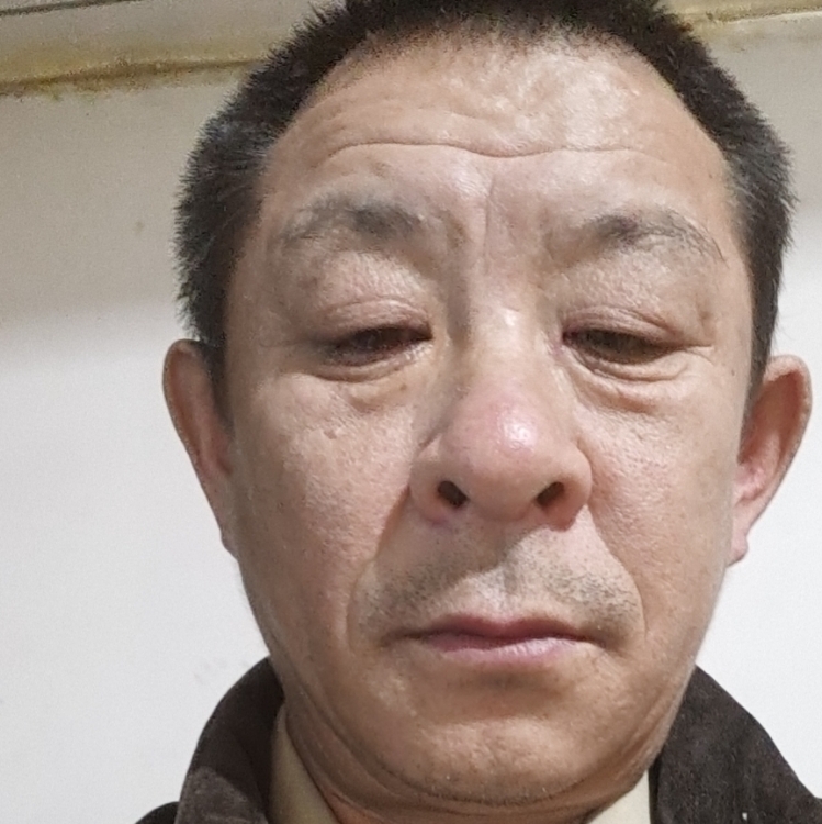 你真心我也真心