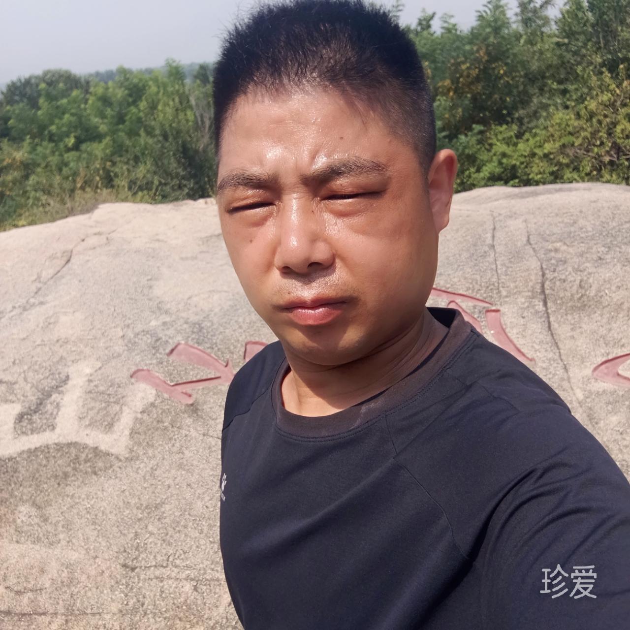 大漠听风吟