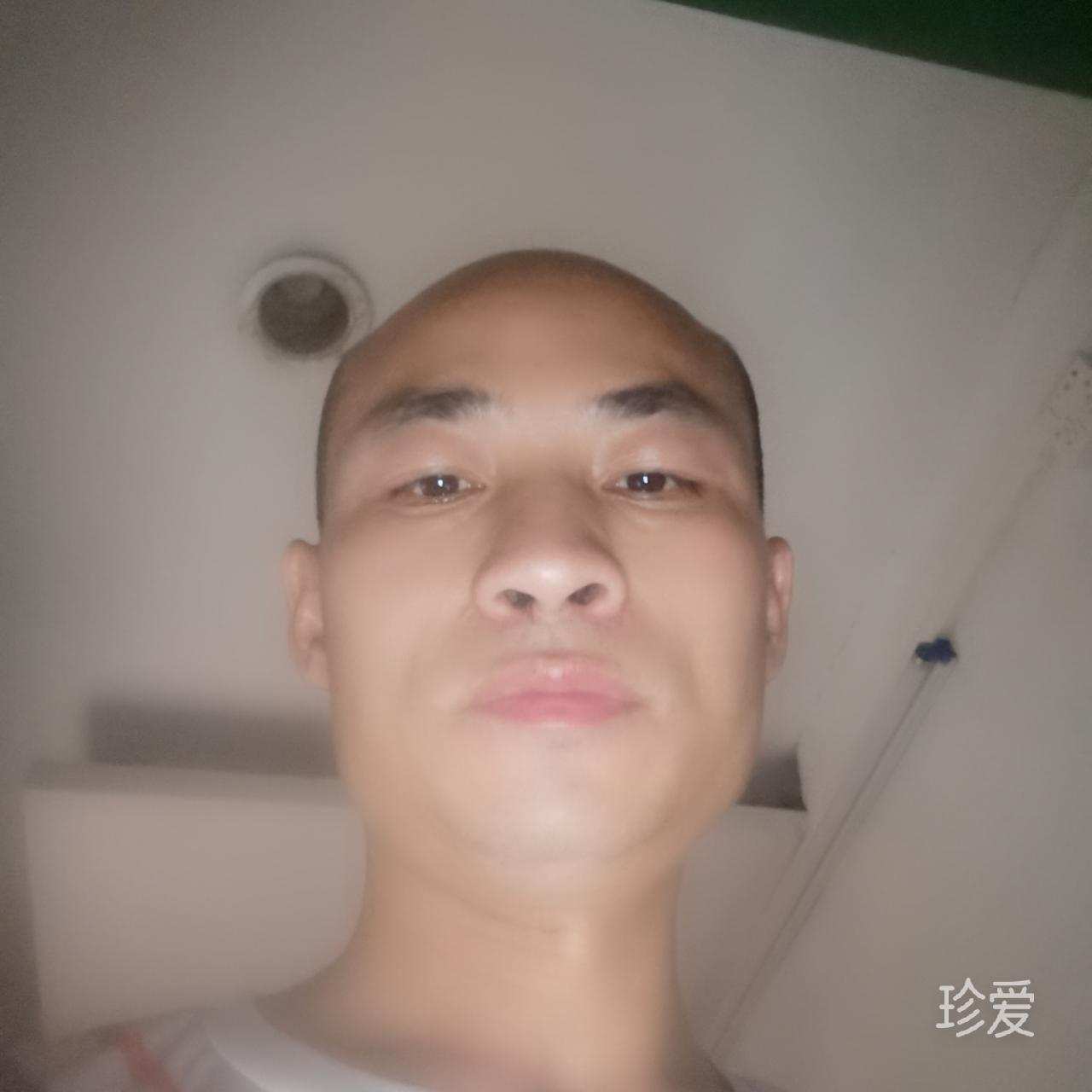 真心找朋友