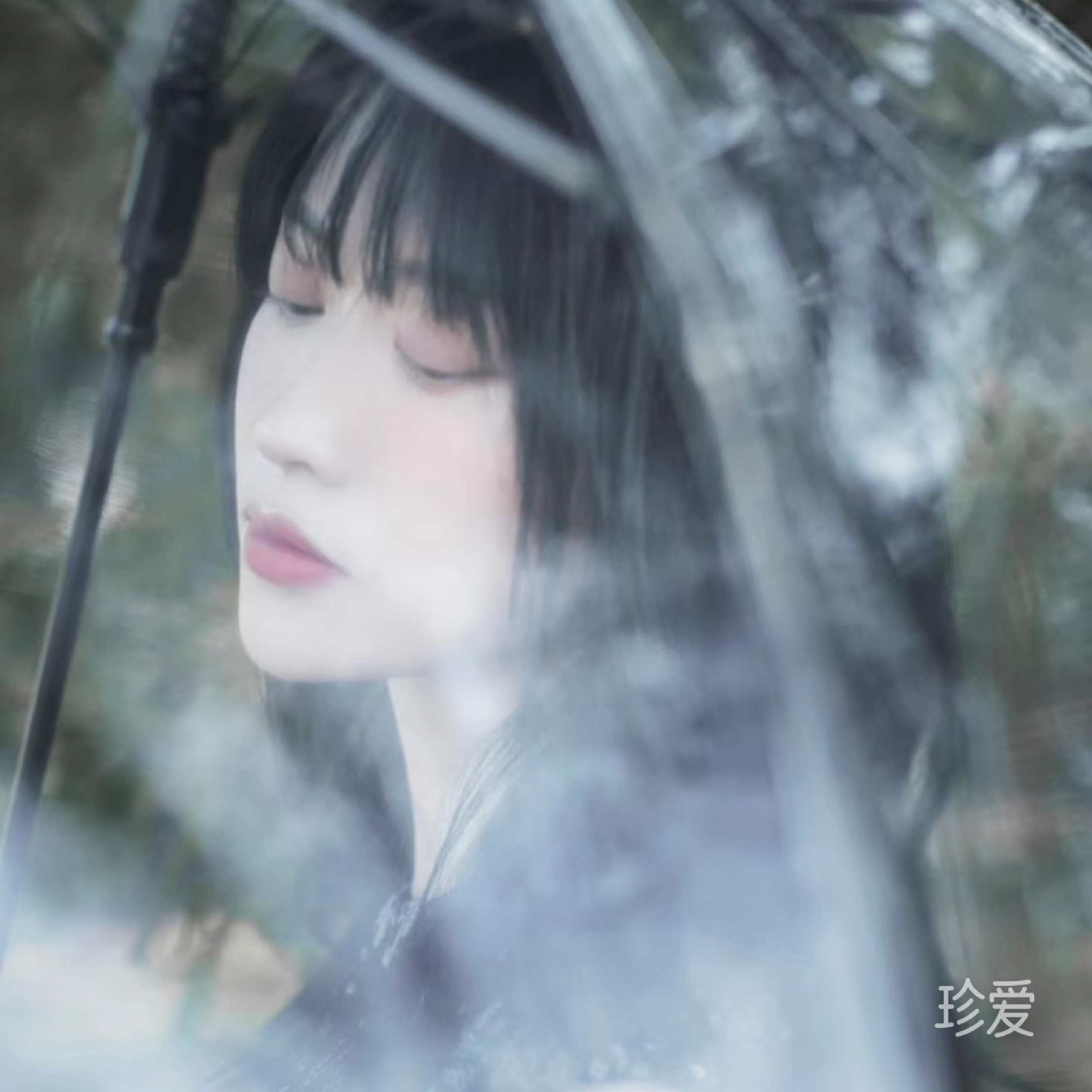 小小摩熙