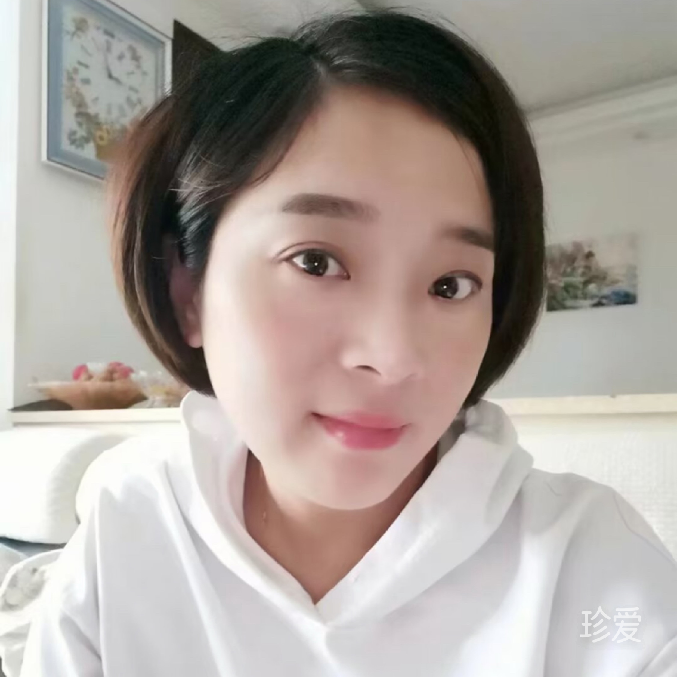 楠宝儿