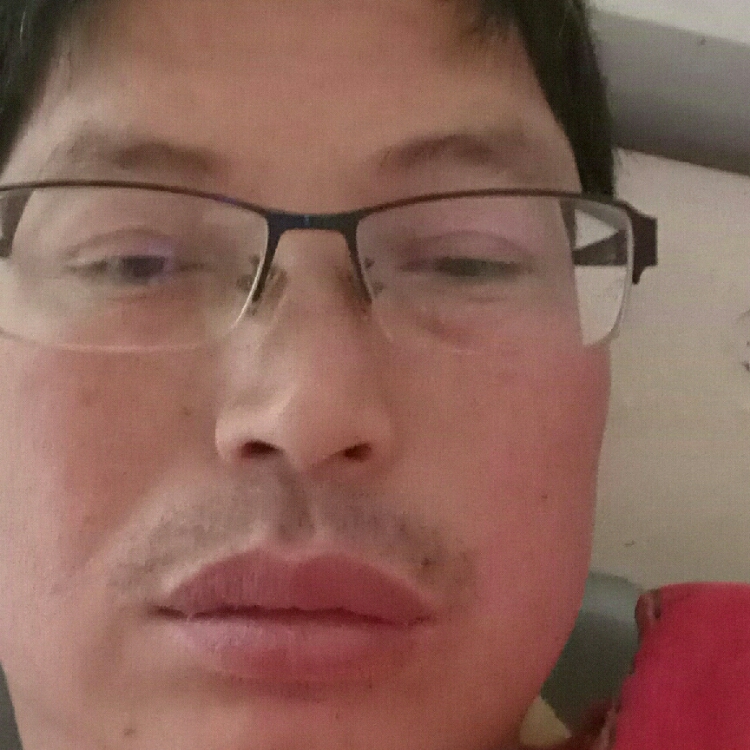 一天到晚游泳的鱼