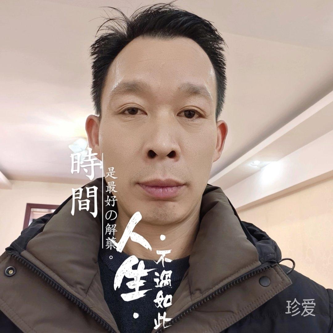 阳光森林