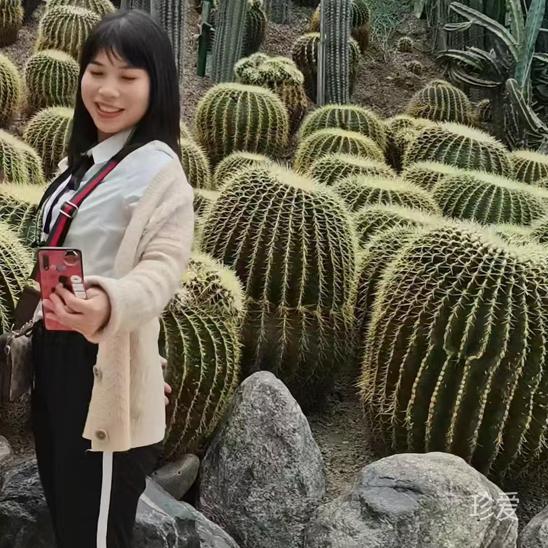 小菇凉
