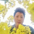 搜索你的影子