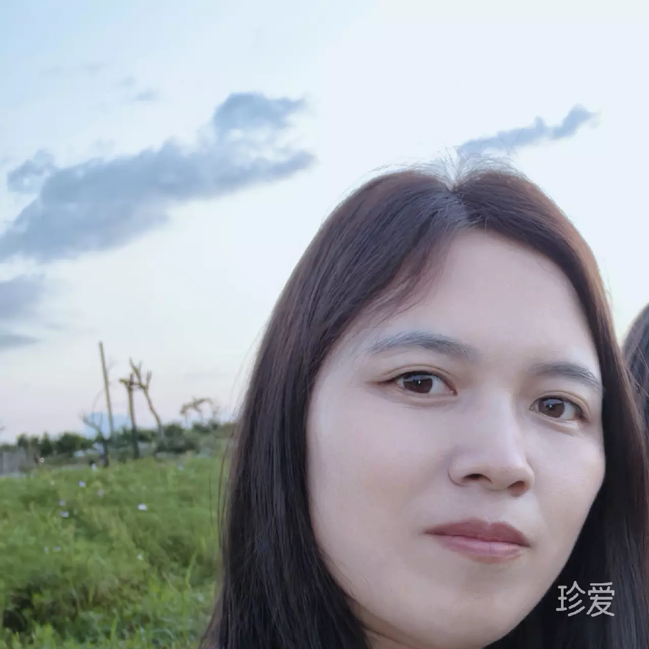 风的叶子