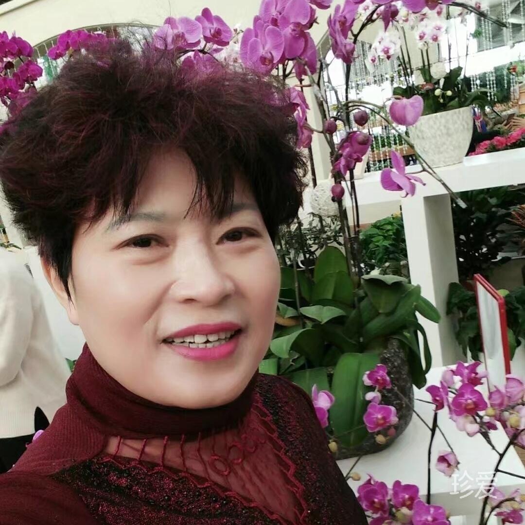 盛開(kāi)的牡丹