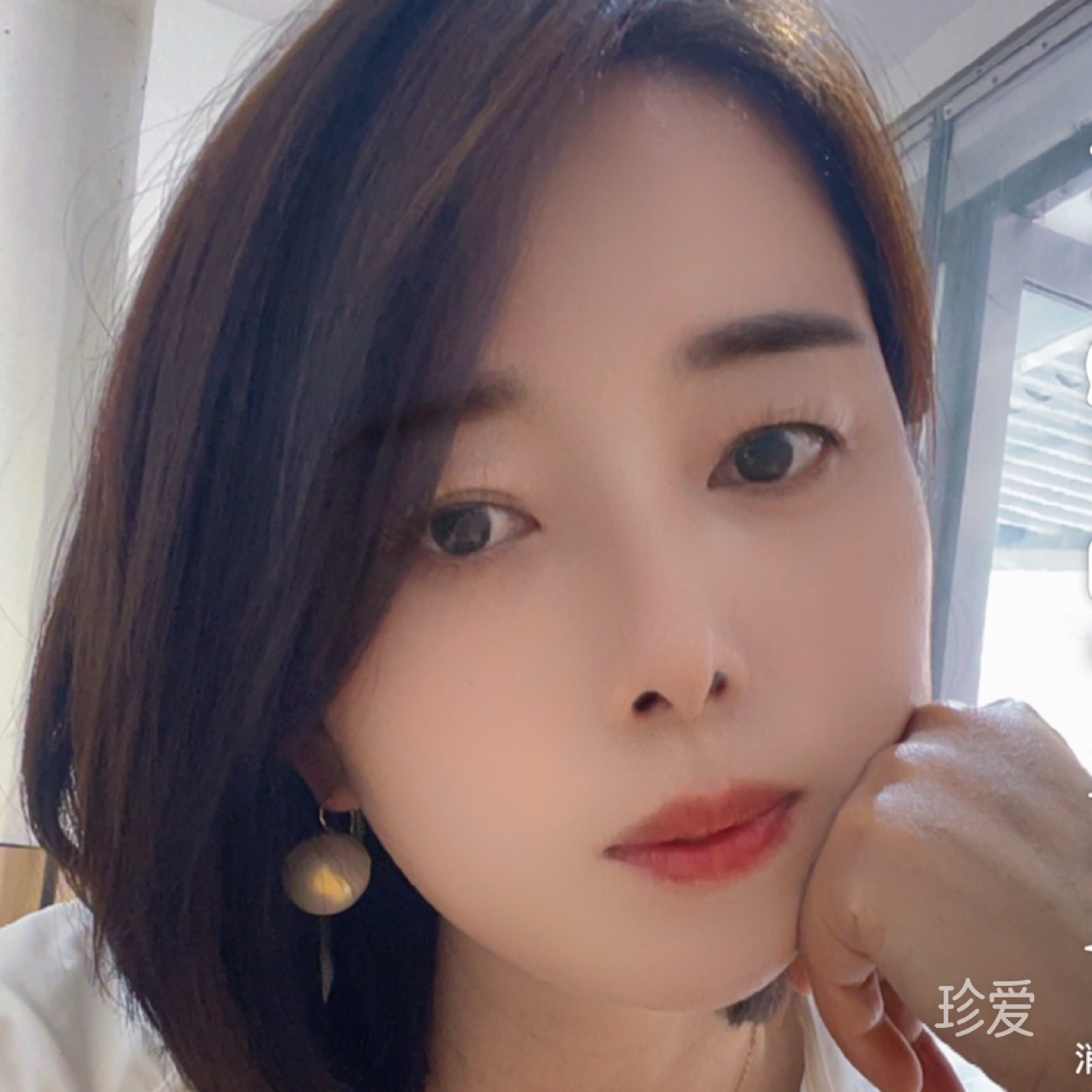 呆呆