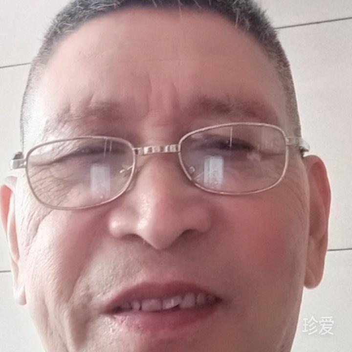 冬天的树