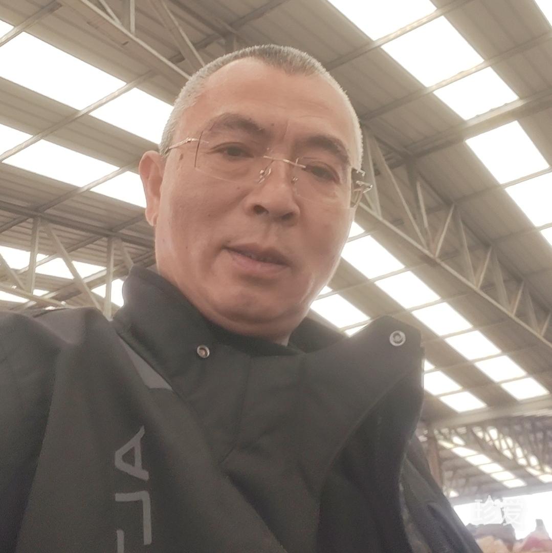高嵩蒿