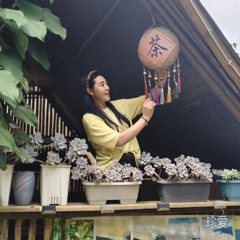 自由行走的花