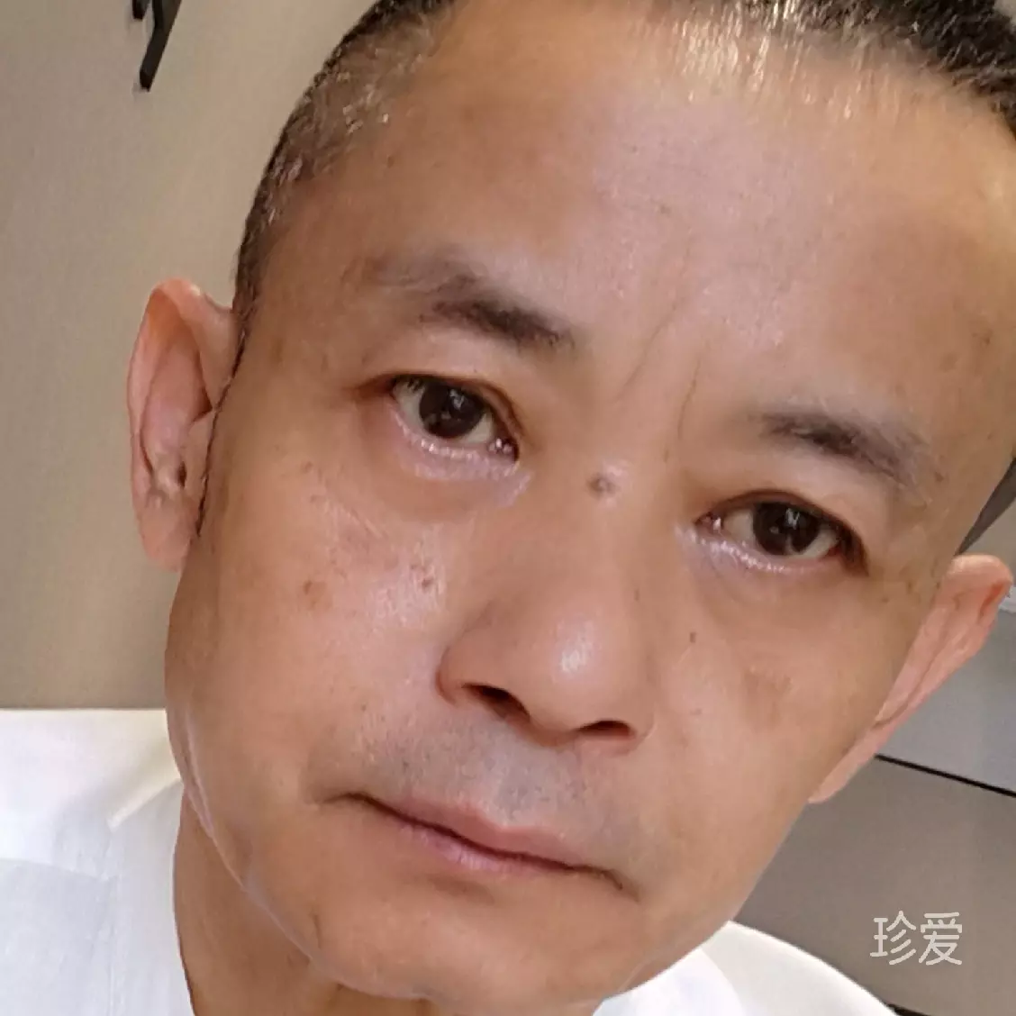 打工豹