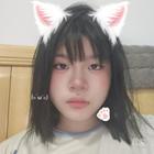 沒(méi)有會(huì)員