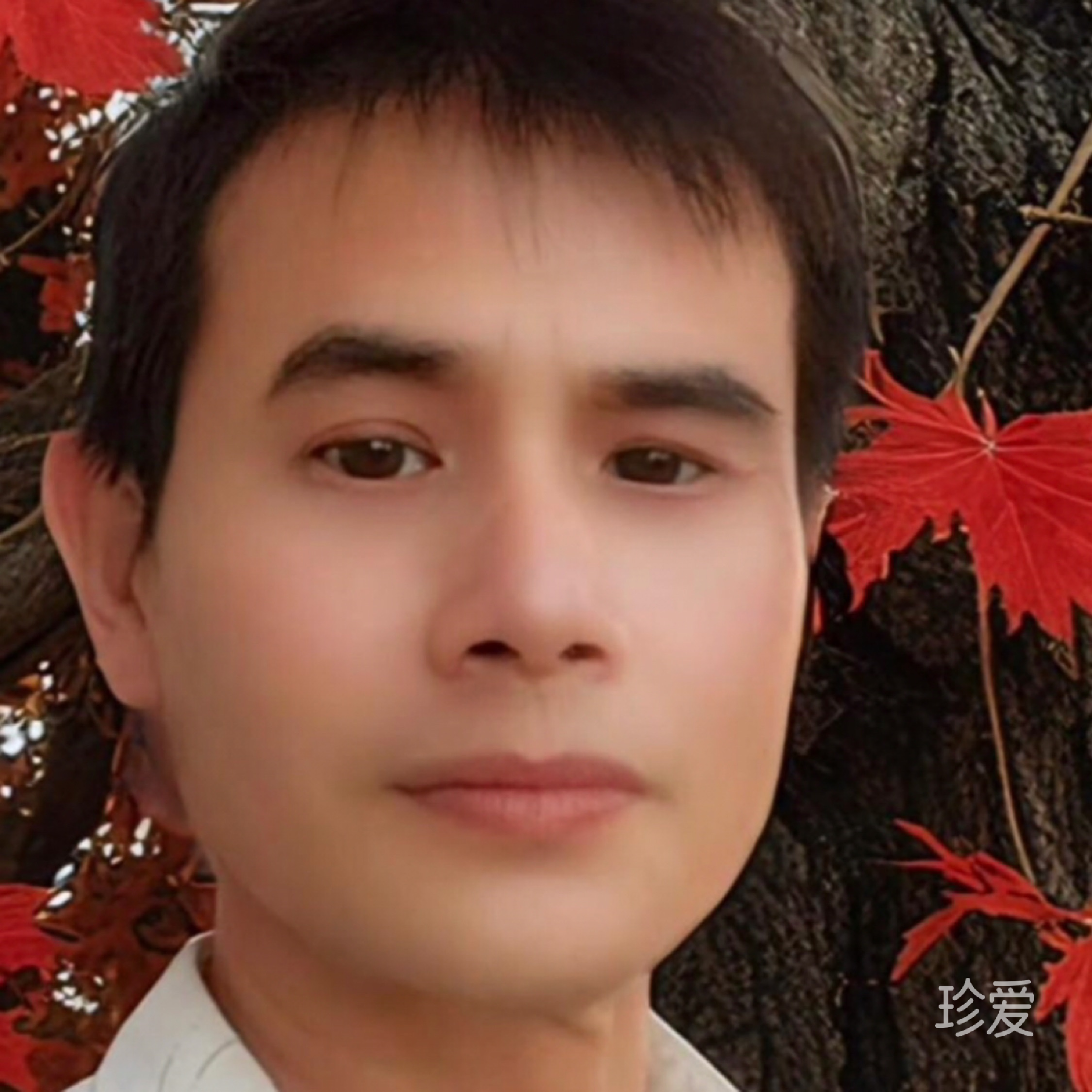 人生如梦
