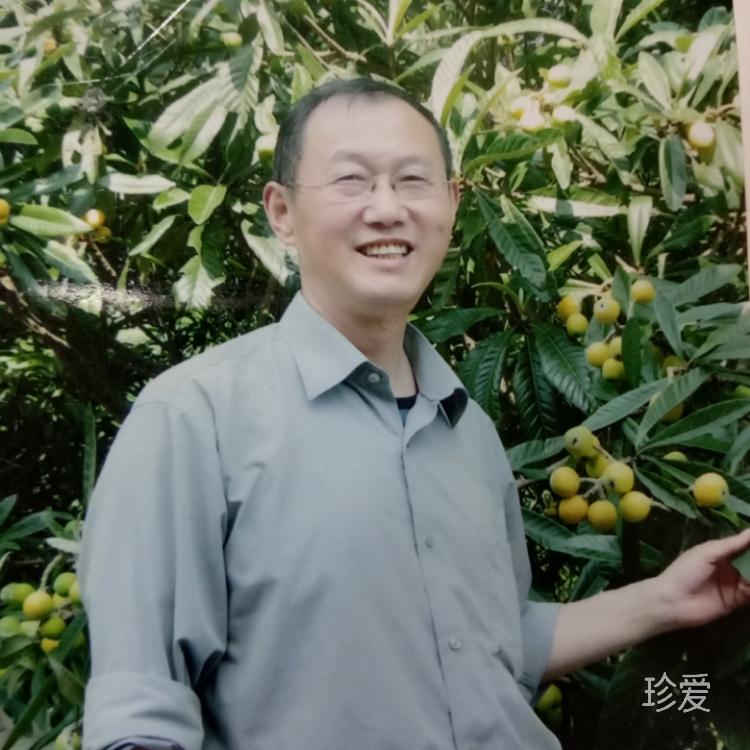 鸿雁