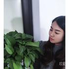 歲月凝香