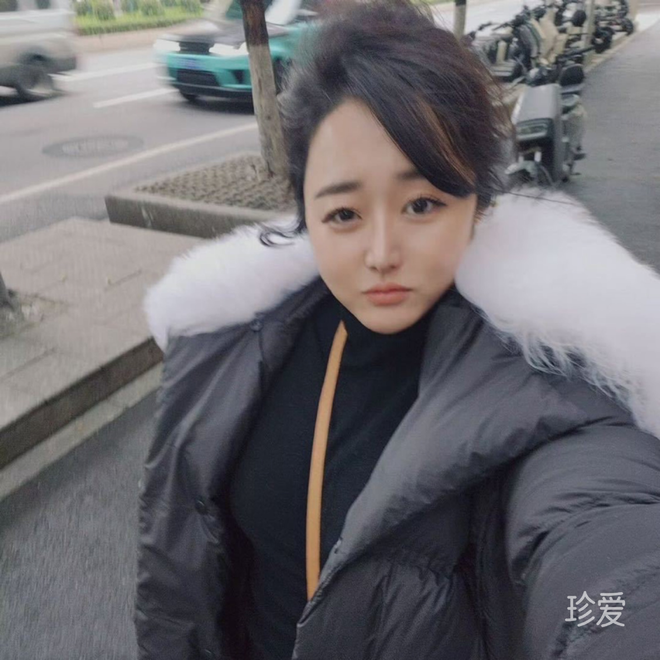 仙仙
