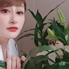 楊洋