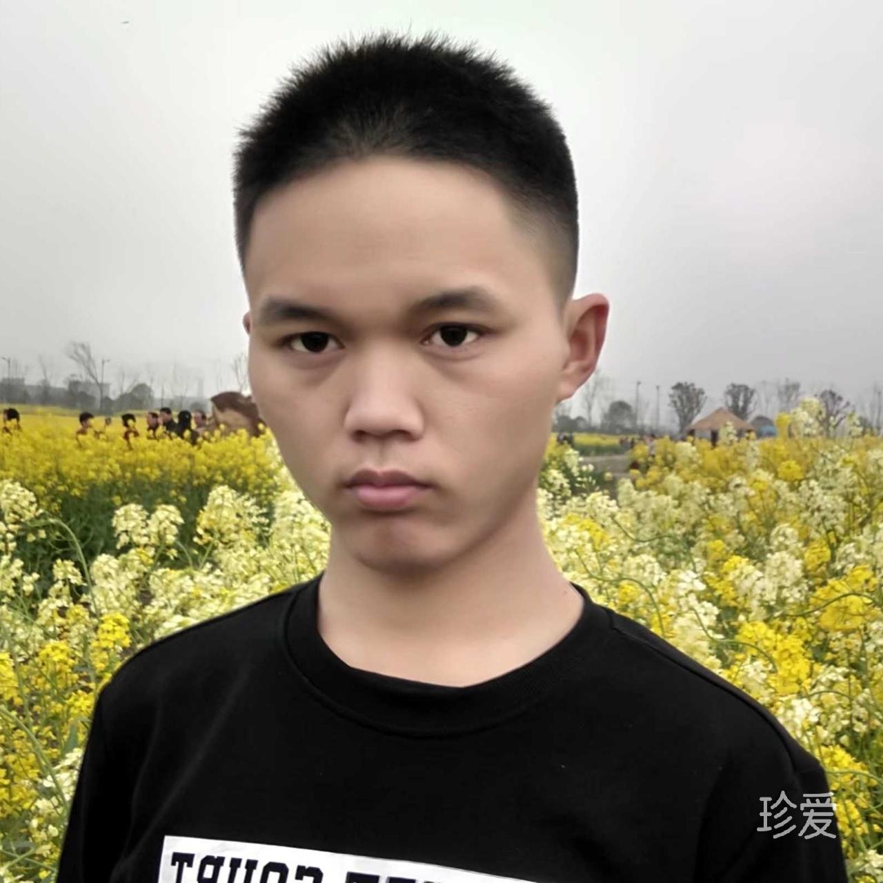 董杰伦