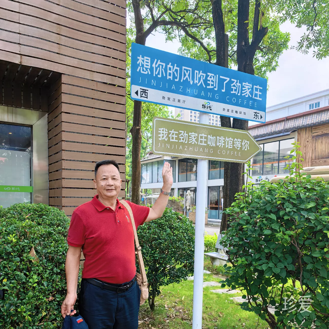 大红枣