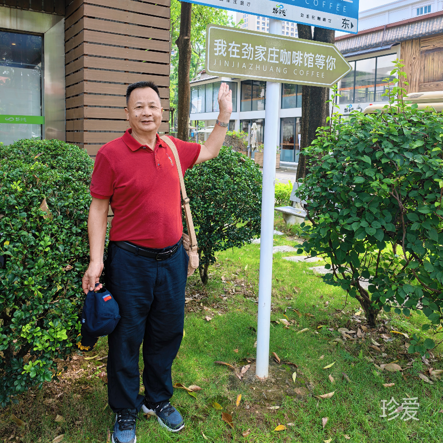 大红枣