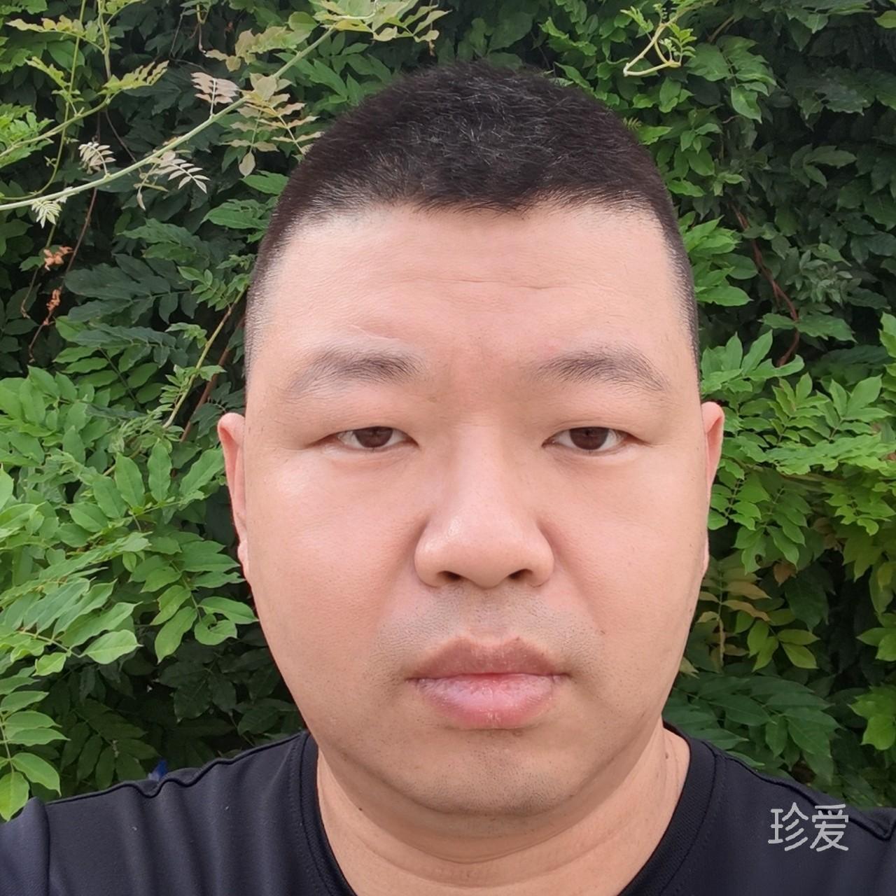 林间落叶