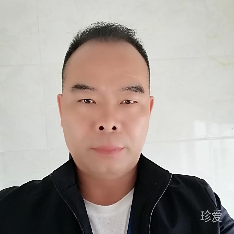 满天飞