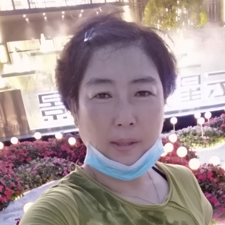 自由飞翔的燕子