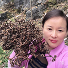 不過(guò)也如此