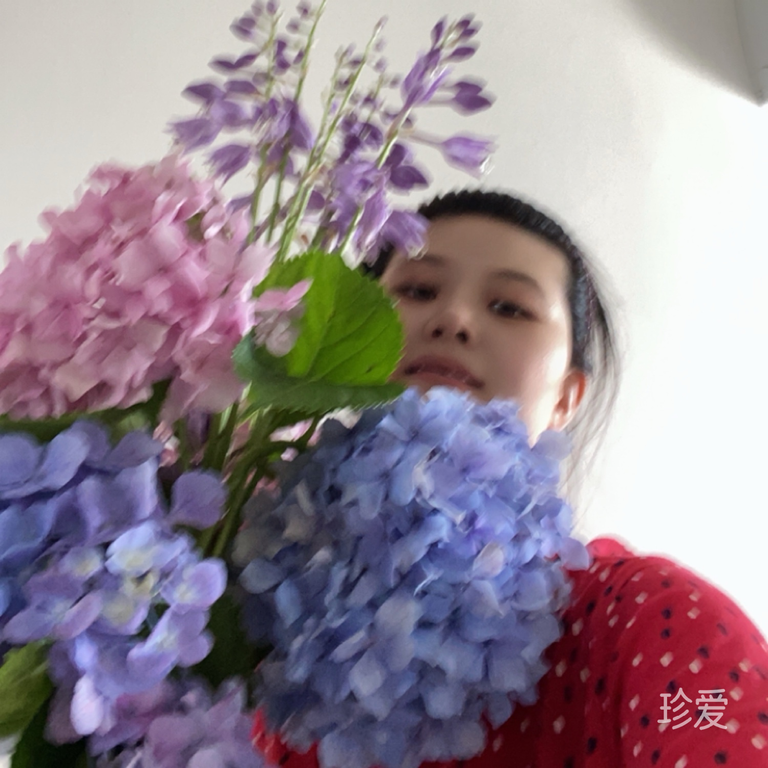 星语