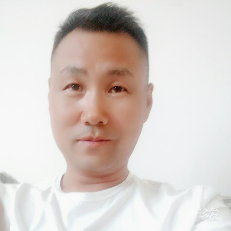 笑看中年贺家俊