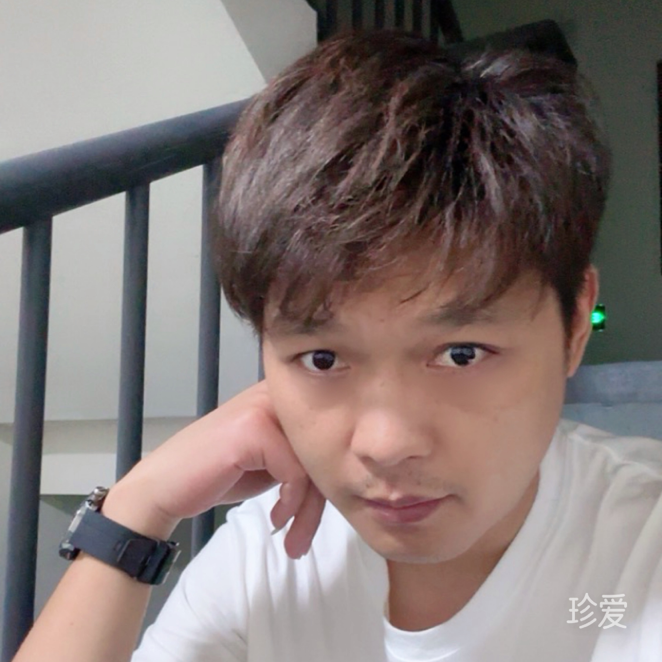 随风而逝