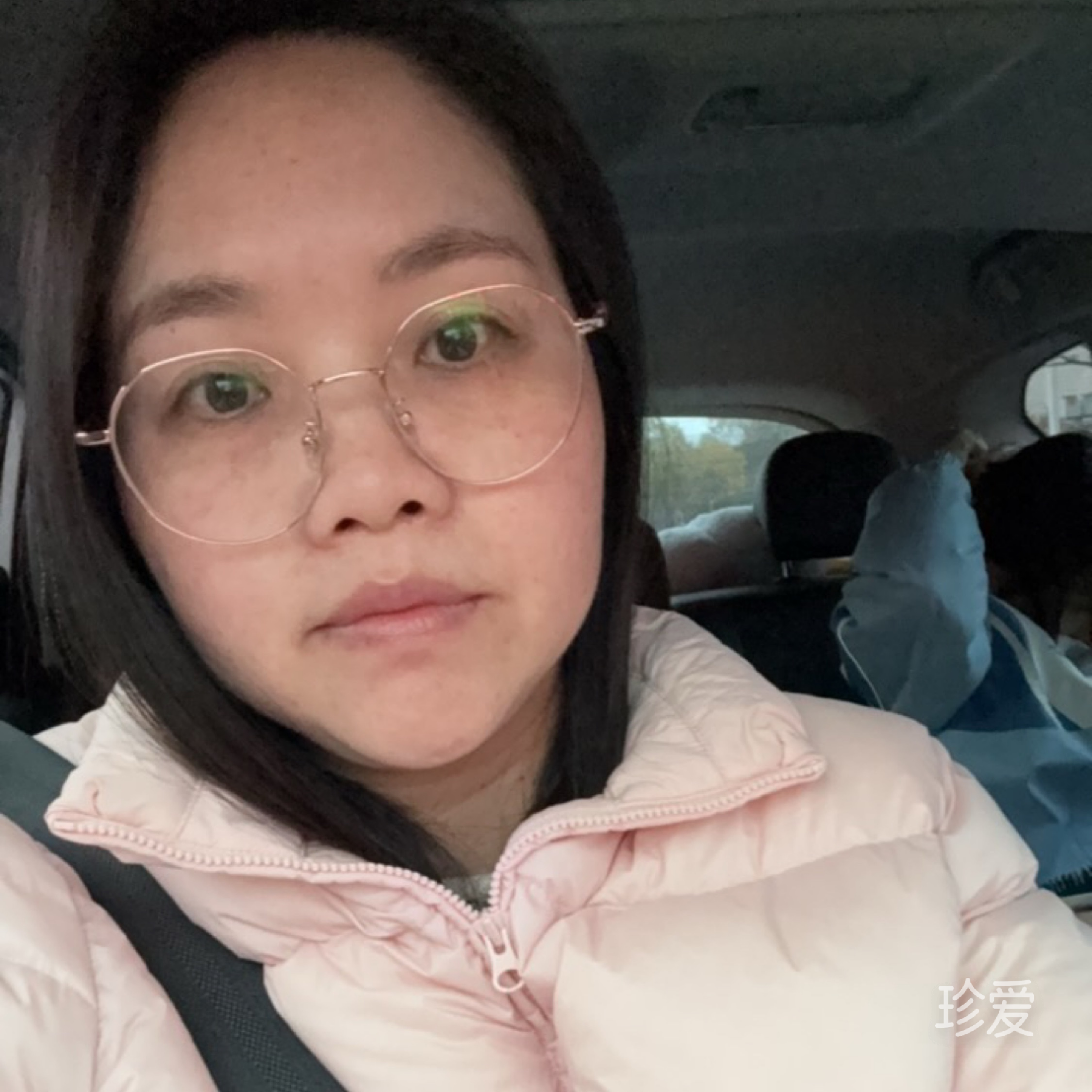 简单棕熊爱旅行