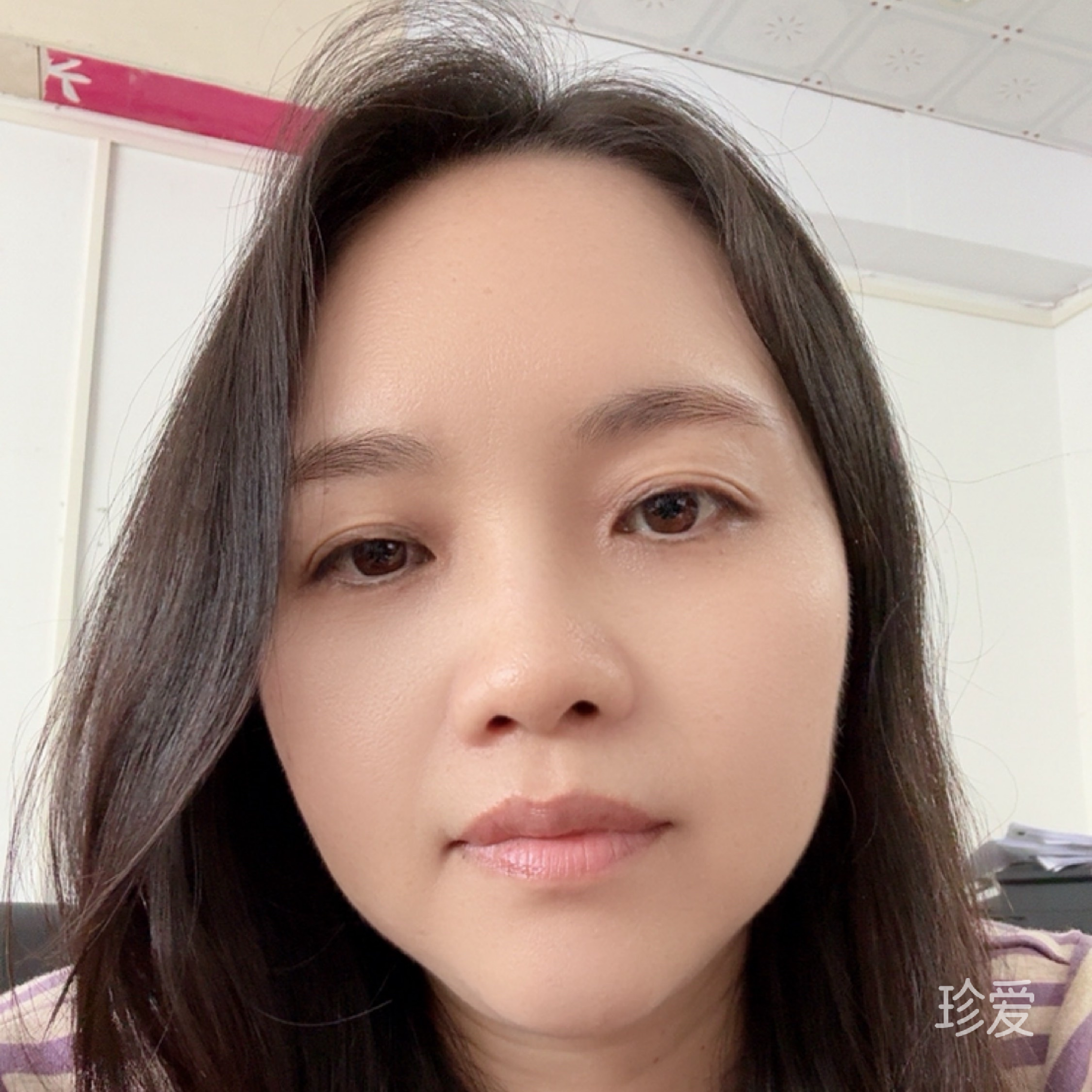 简单棕熊爱旅行