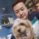 烏斯懷亞