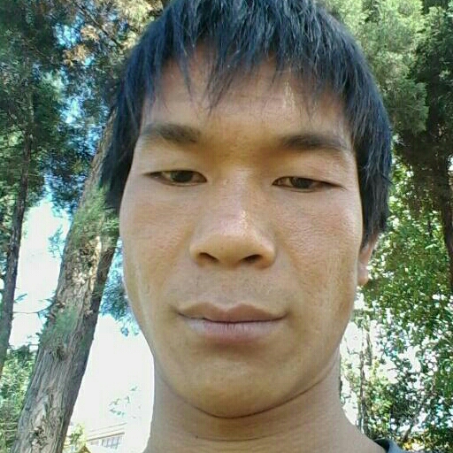 平平淡淡才是真