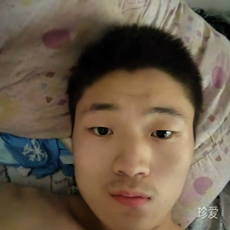 楠情
