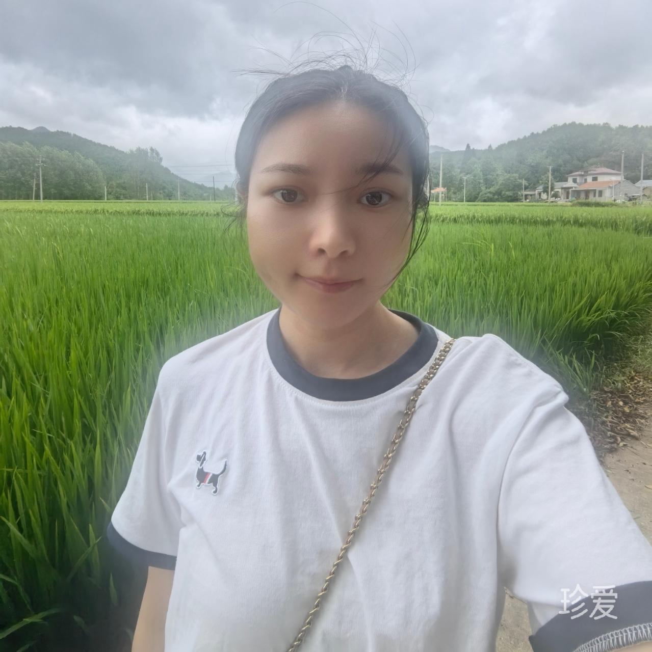 风吹半夏