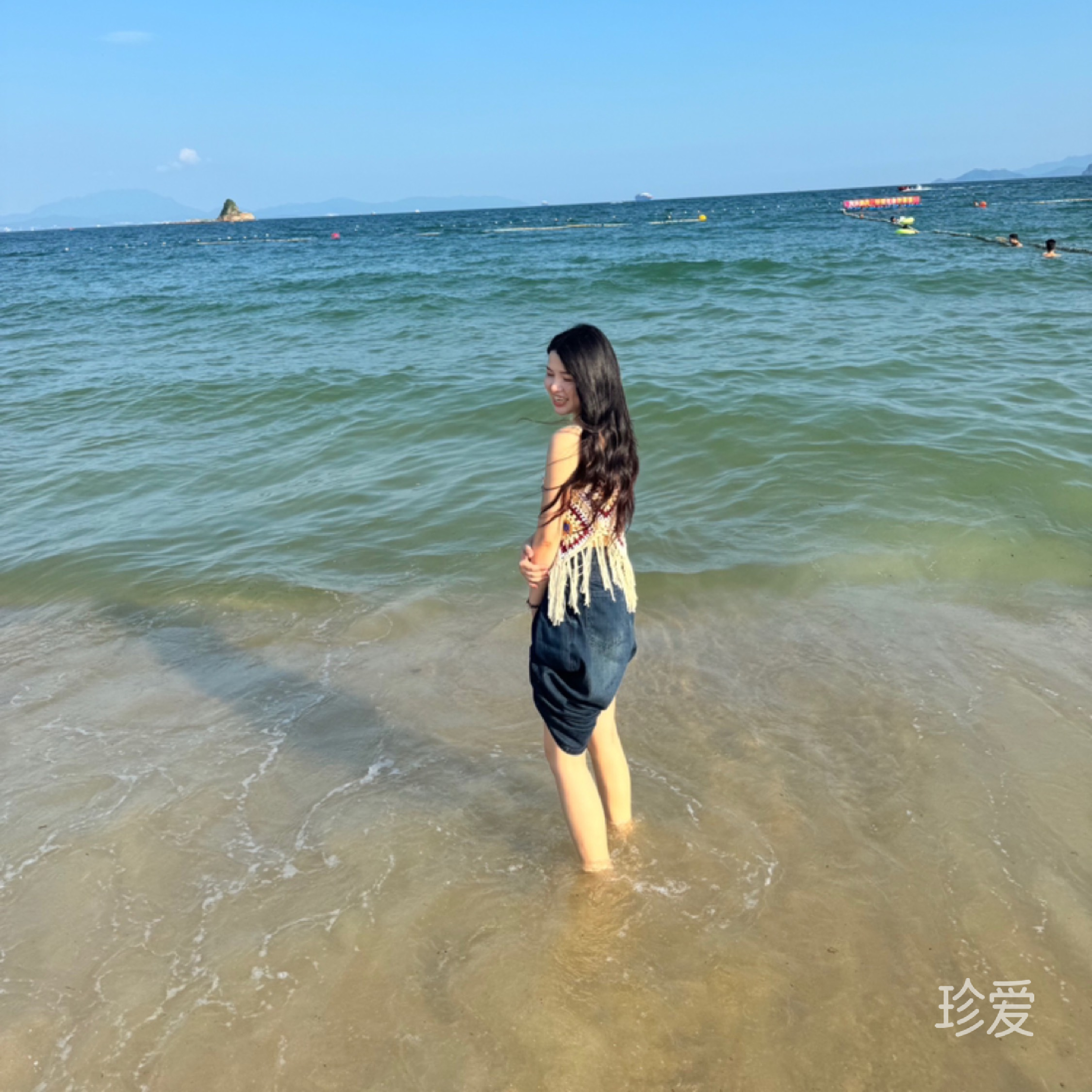 围墙上的猫