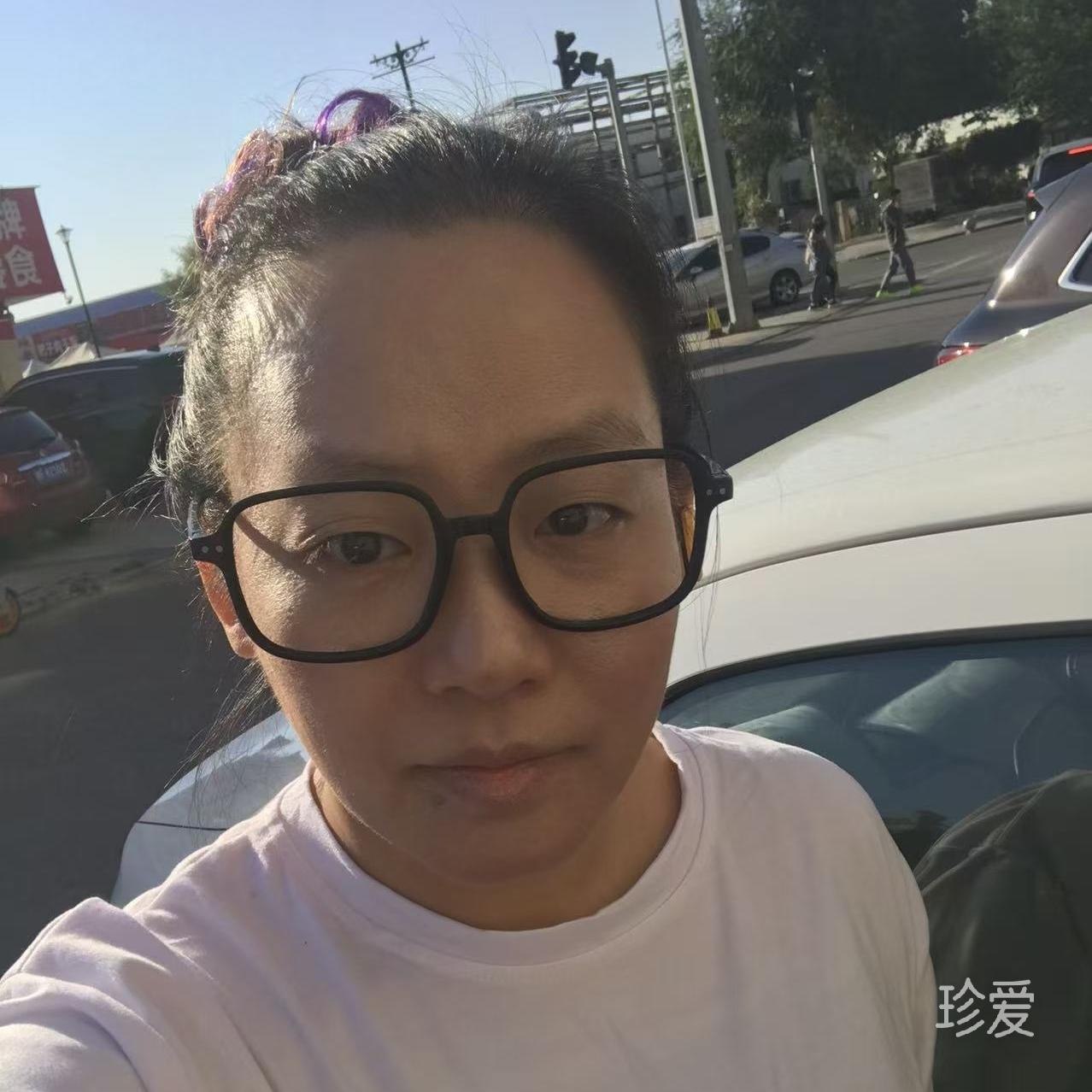 北巷九命猫