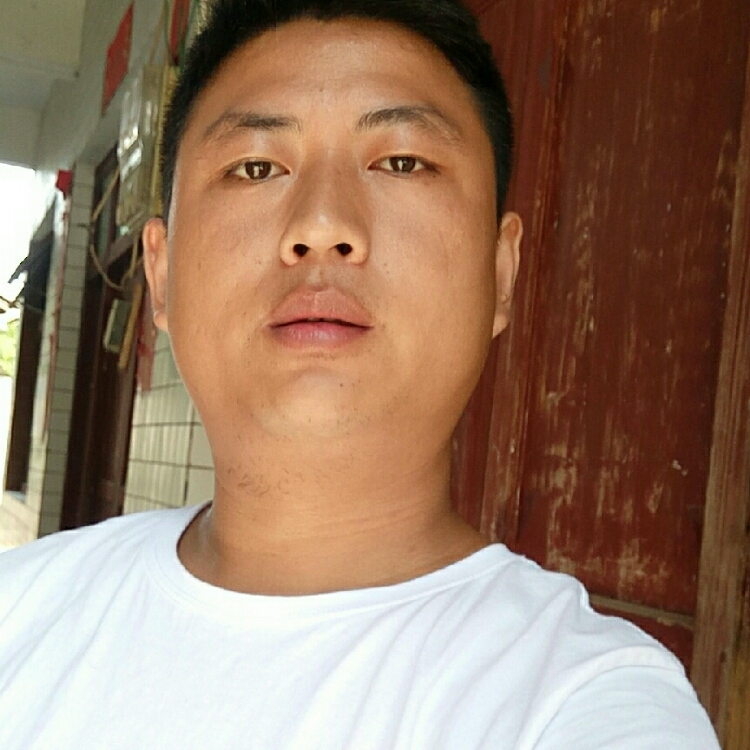 中華蜜蜂養(yǎng)殖合作